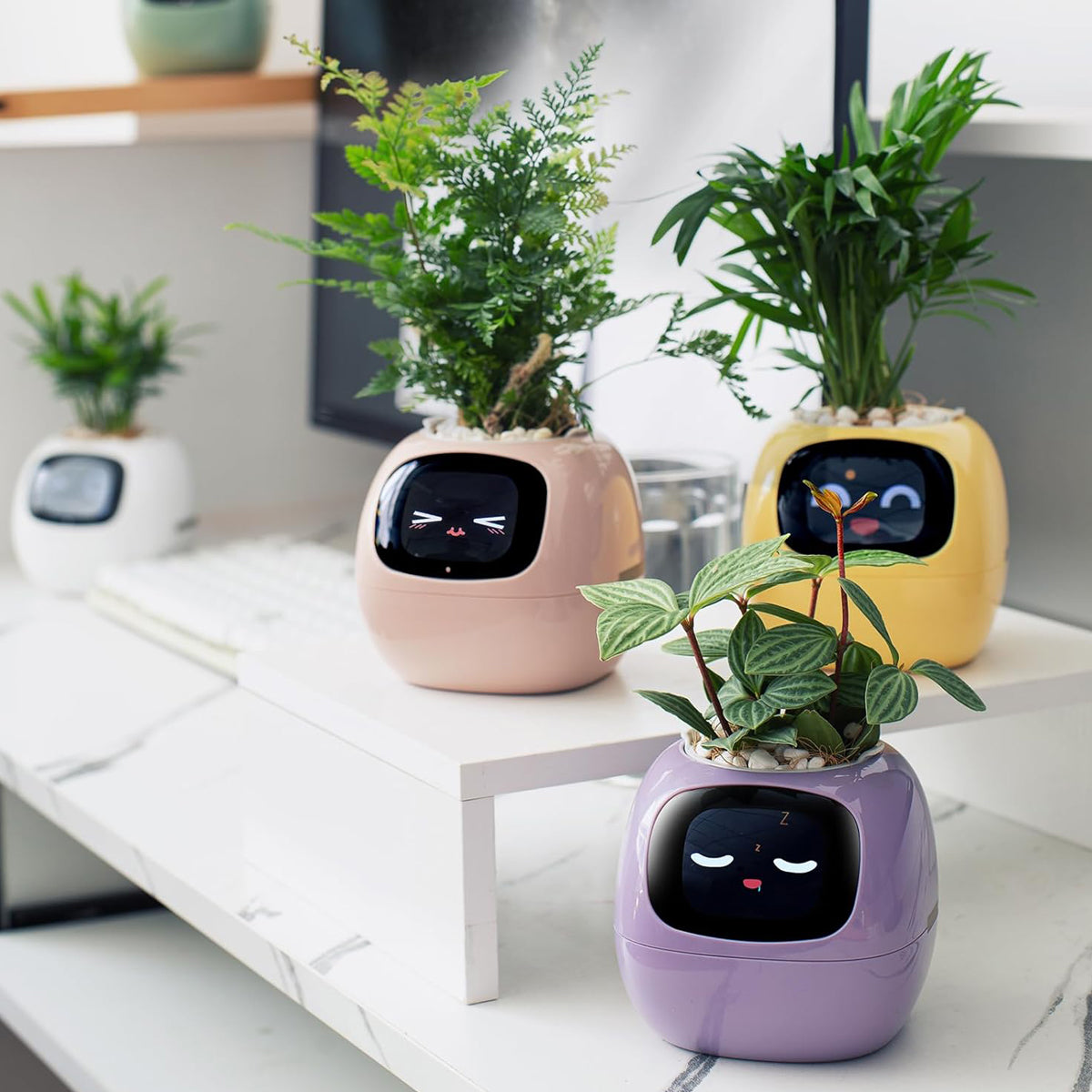 Smart Pet Planter Robot – Intelligent Plant Care  Adorable Companion with Expressive Gestures  Perfect Desk Gift